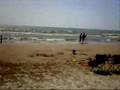 sandbanks ontario beach plage ontario canada compagnie creole