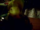 we are dinosaurs ... who like tea partyz o_O