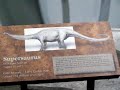 supersaurus