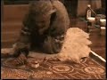 Aboriginal Art