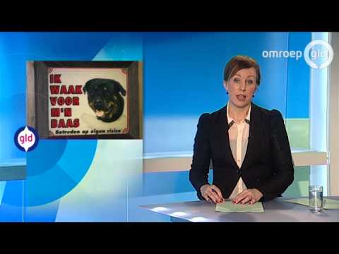 Gun inbrekers geen fijne feestdagen