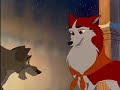 balto-not-pair.html