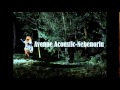 Avenue Acoustic - Nebenoriu (serialo „Neskubėk gyventi“ daina)