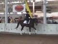Sidesaddle @ 2006 Hoosier Horse Fair Sidesaddle @ 2006 Hoosier Horse Fair