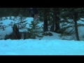 Vid1