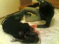 Giulia VS Marika in Casa C...inese Giulia VS Marika in Casa C...inese