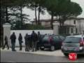 BATTAGLIA VINTA: allevamento guberti a ravenna BATTAGLIA VINTA: allevamento guberti a ravenna