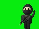 Query a Ninja Query a Ninja