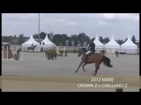 CITA 6-YO CLASS GHLIN JUNE 2018