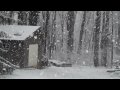 Snow Fall Dec 09.mp4