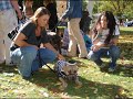 National Pit Bull Awareness Day 07 National Pit Bull Awareness Day 07