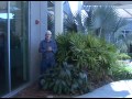 Click here to watch this video How to find microclimates in the desert southwest