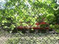 67027 + 67026 pass Twerton Woods 67027 + 67026 pass Twerton Woods