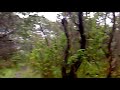 Downhill Track at Papandayan Crater