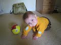 Osgar in his bed room chasing the ball then deciding mum's foot was more interesting