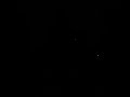 full moon skate