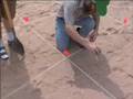 How to Find Dinosaur Bones