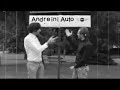 Spot Tv Concessionario Andreini Auto