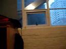 Oceanic Hostel