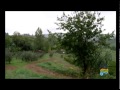 Click to View : 10 Study Visit Azienda Agricola Multifunzionale L'azienda agricola multifunzionale