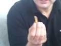 videos de man eats stump for a bet