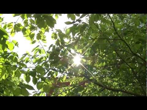 Environment -- protecting our habitat and resources