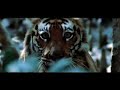 Tiger Hifi - King of my castle