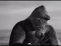 king-kong-1933-movie-part-11.html