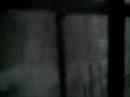 perro-subiendo-una-escalera-dog-crazy.html