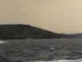 videos de delfini a rab - croazia