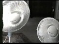 The Fans