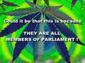 Cannabis smoking politicians UK