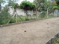 Bochaje extremo en el FIC - Parte 3 de 4