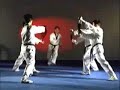 taekwondo rox