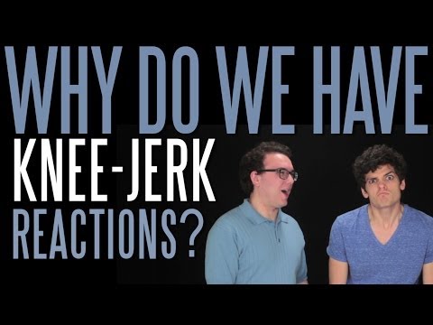 how to react to a jerk