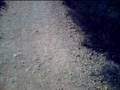 videos de Will Rogers Pt. 3 Ocean Views