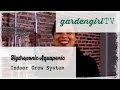 Hydroponic Aquaponic Indoor Grow System