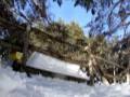 mini shred in Cotos