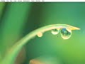 Google Data Java Client Eclipse Plug-in Google Data Java Client Eclipse Plug-in