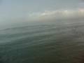 hobie outback with dolphins port phillip bay hobie outback with dolphins port phillip bay