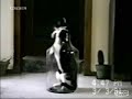 Chat bouteille