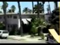 Owned Best video on youtube Black Lotus
