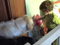 Tisa is feeding our dogs Tisa is feeding our dogs