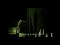 ramnicu valcea.flv