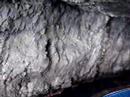 Cassiopea Capri boat tour, Birds Grotto, Sorrento Coast