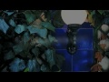 Click here to watch this video Inauguración Amici Hotel Romantic 1 Junio 2012