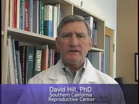 how to decide how many eggs to transfer