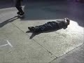 1ere vid�o skate Th�o