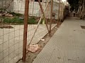 Colapso plaza por especulacion