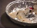 Art of Ear Wax Removal Part II